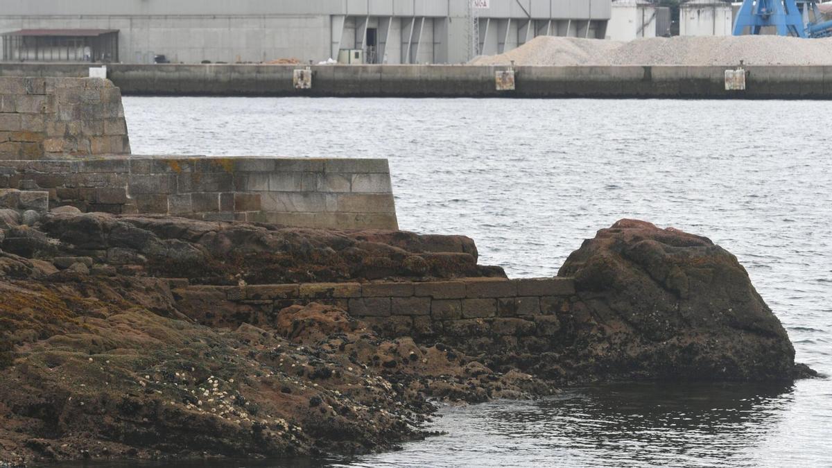 Ostra rizada japonesa invade rocas del castillo de San Antón en A Coruña