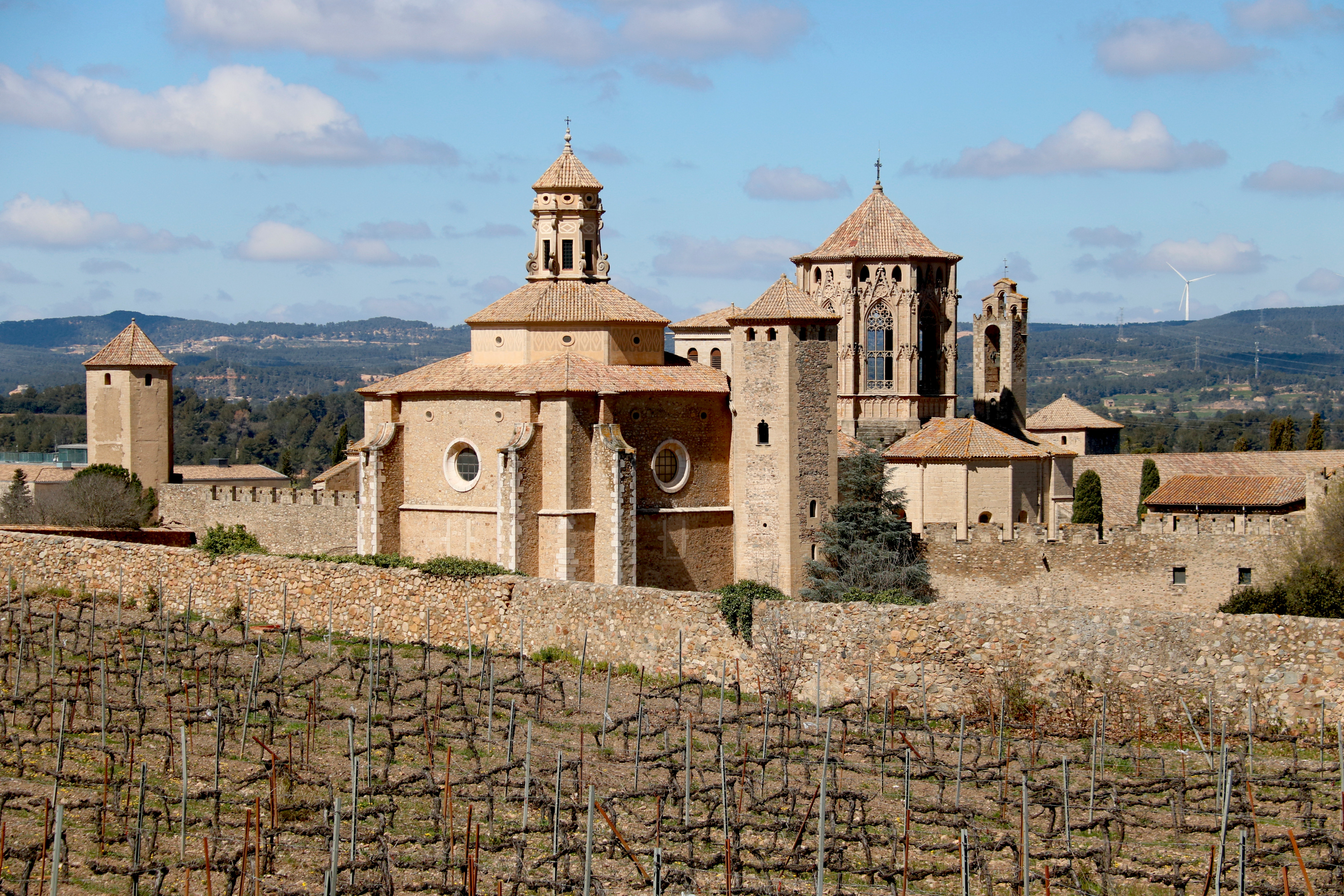 Caminata entre l'Espluga y el Monasterio de Poblet cierra actos del 50 aniversario de la Marxa de la Llibertat