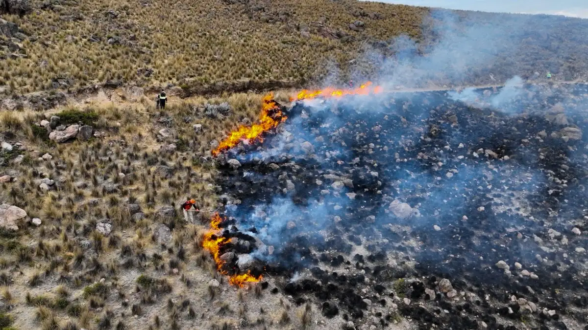 Incendio forestal en Cerro Lojojoy destruye 500 hectáreas y ocho casas en Arequipa