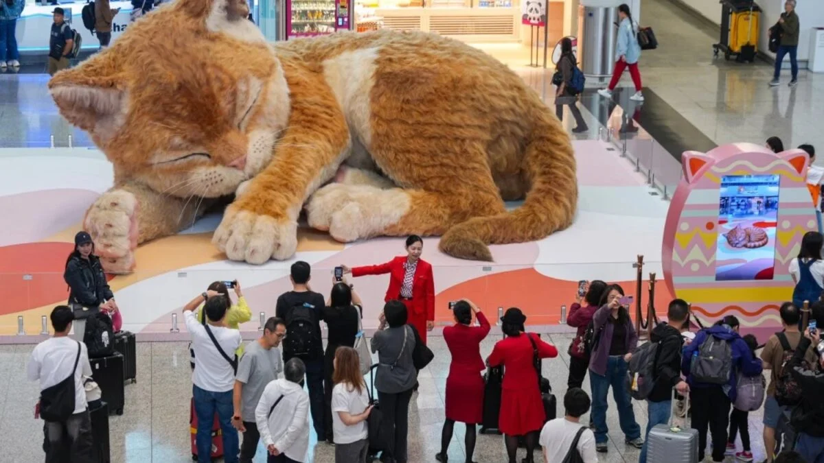 Aeropuerto de Hong Kong mantiene gato interactivo tras Pascua