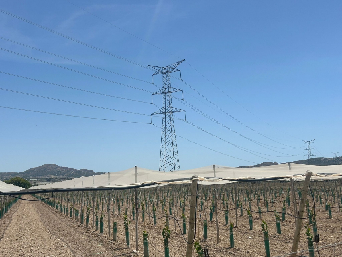 Monforte se opone a la línea eléctrica de las macroplantas solares en Novelda y Aspe