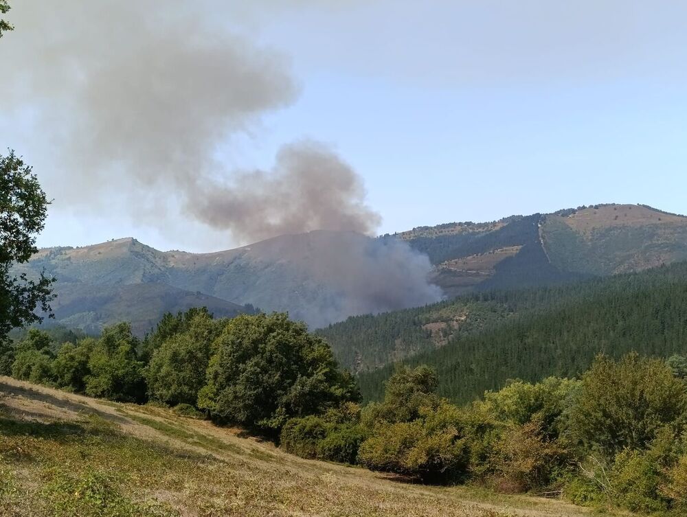 Incendio en Arza mejora pero continúa sin control