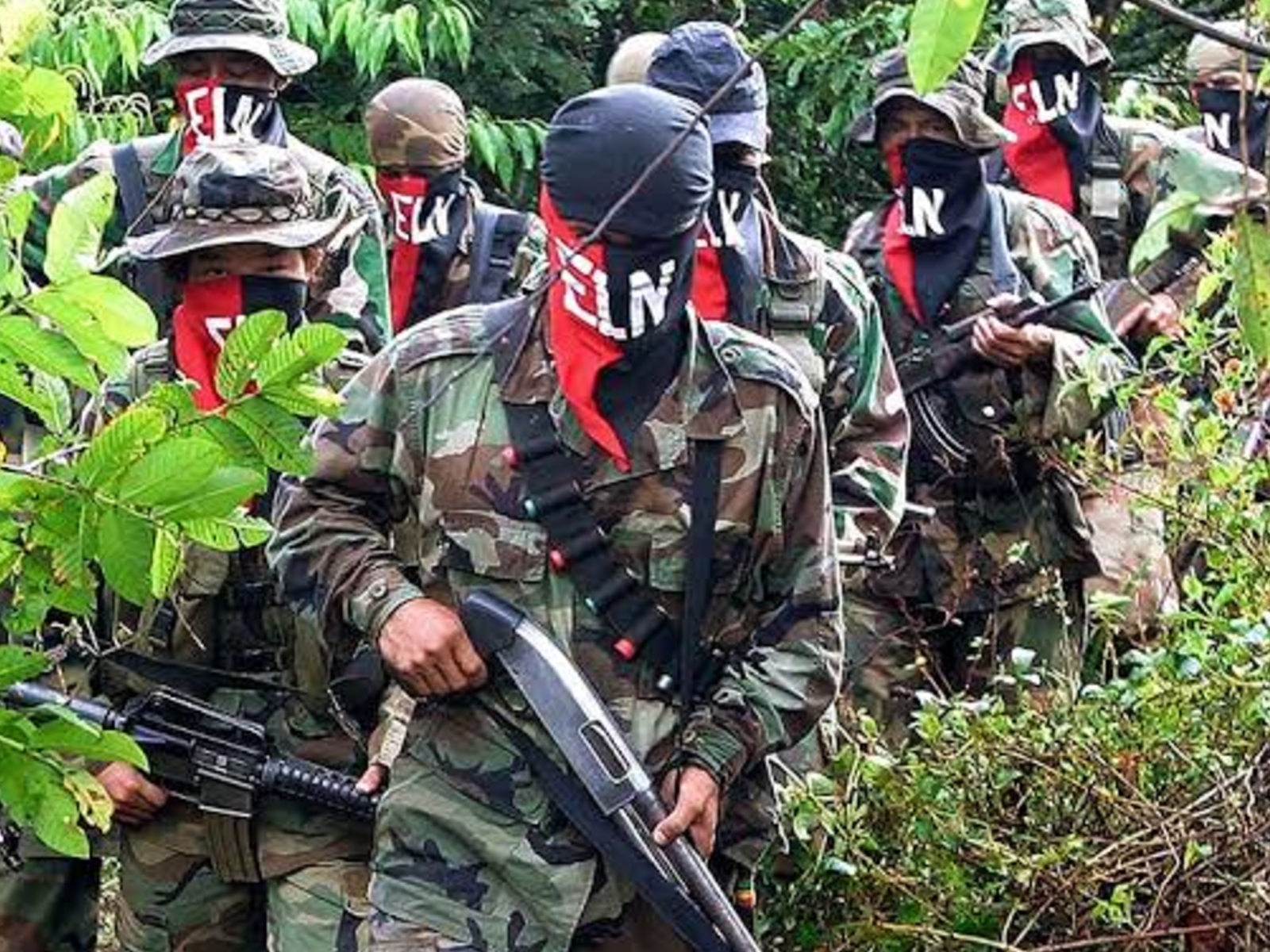 Comandantes del ELN y Segunda Marquetalia permanecen en Venezuela según líderes militares de Colombia