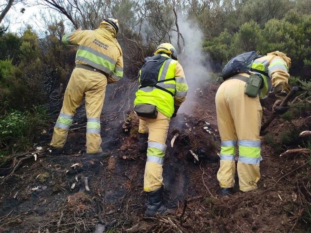 Incendio en Porracolina (Soba), Cantabria, está controlado