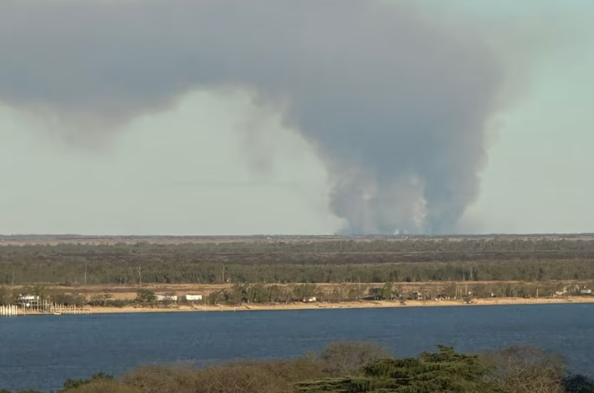 Incendios en islas del Paraná reavivan alerta ambiental en Gran Rosario
