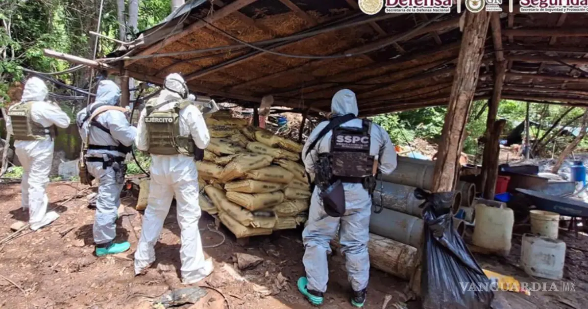 Desmantelan cuatro laboratorios clandestinos en Michoacán y Guerrero con 10 toneladas de precursores aseguradas