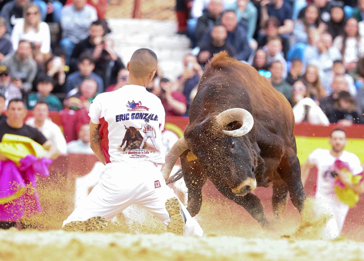 La Ribera acoge Gran Concurso de Recortadores 'Maestros de la Calle'