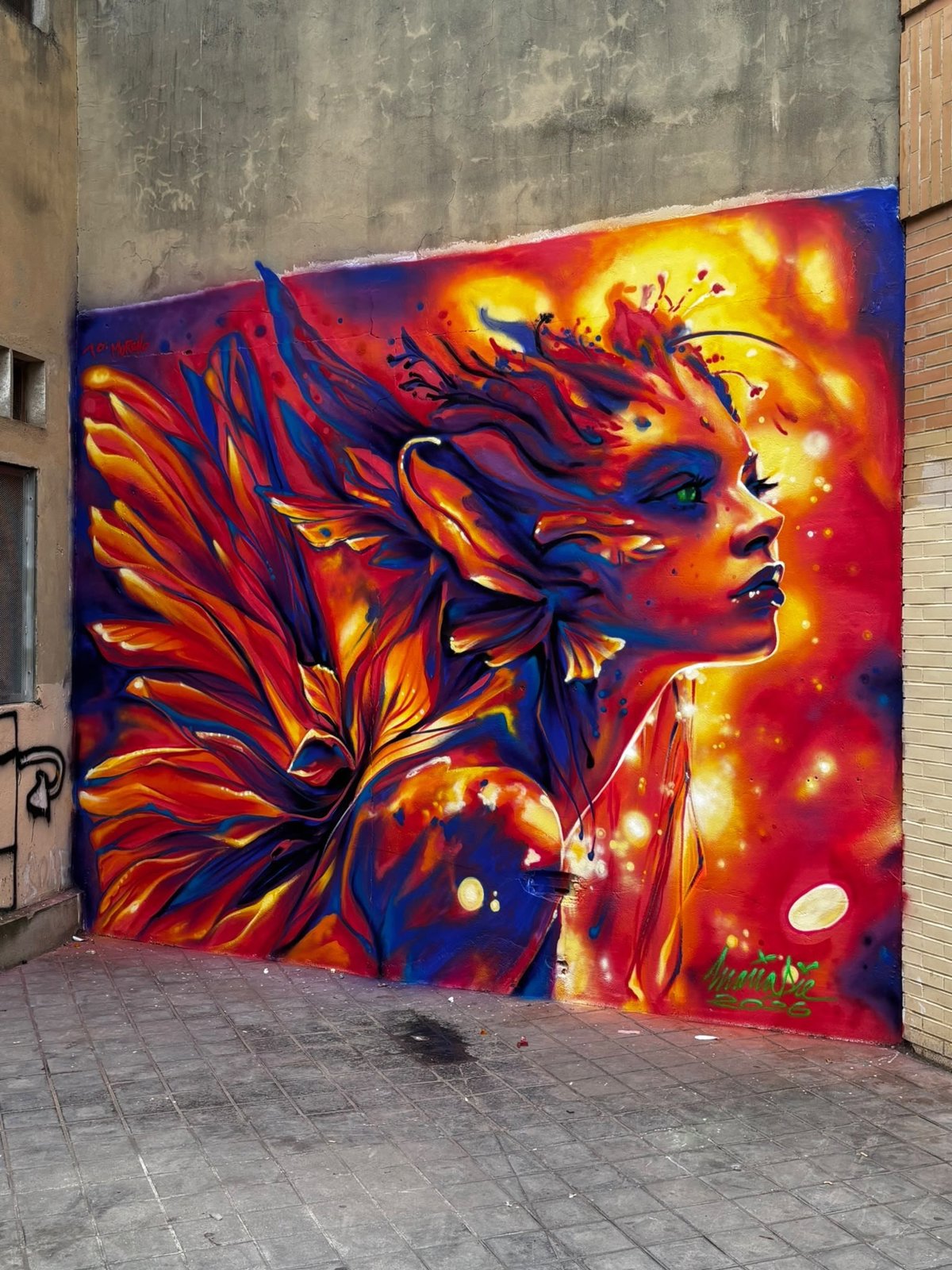 Liga Nacional de Graffiti en València anuncia a sus ganadores