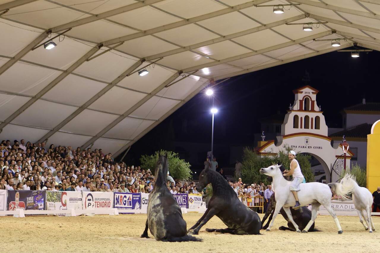 Una Pará en Gines cierra su XVIII edición con 85,000 visitantes