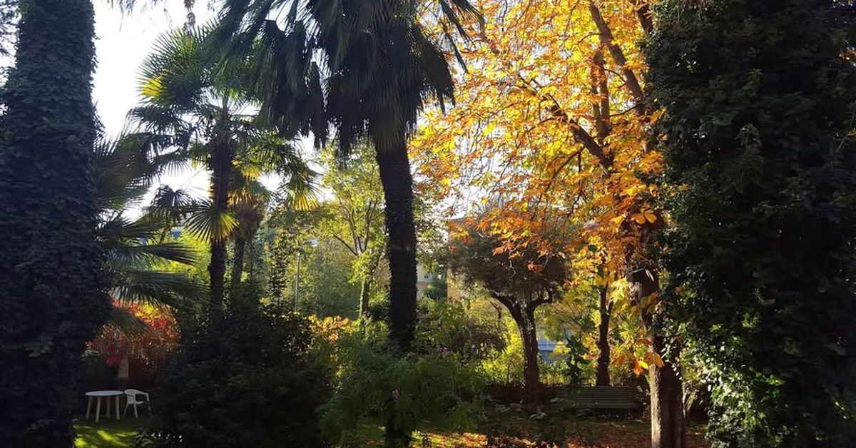Oración de otoño