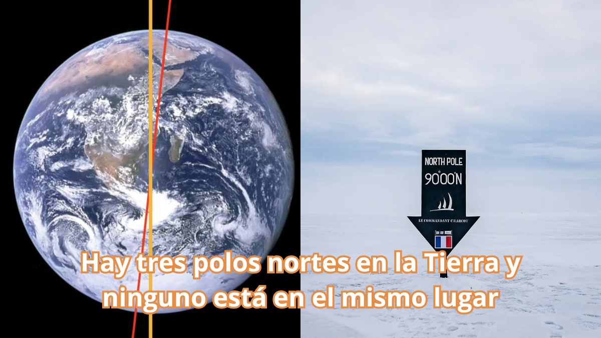 Existen tres polos norte en la Tierra en diferentes ubicaciones