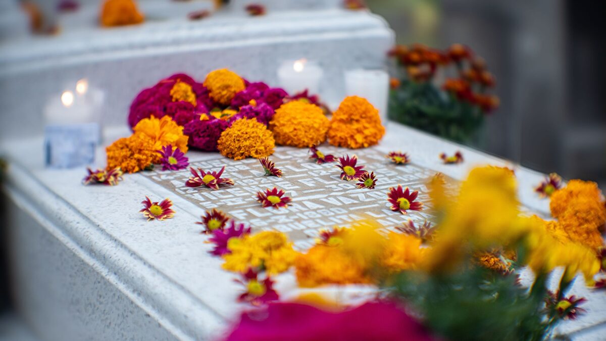 Flores para Todos los Santos: precios, significado y cuidados