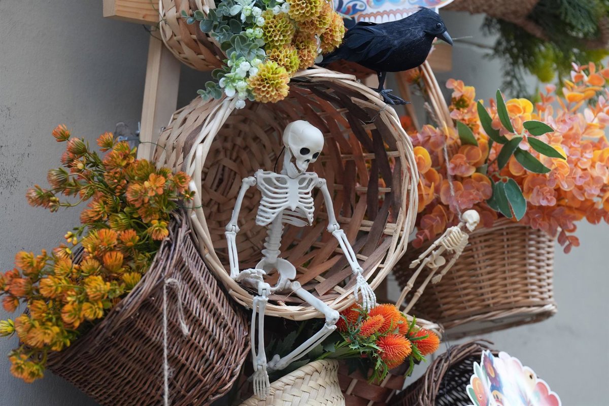 Ayuntamiento de Sevilla cancela fiestas de Halloween y aplaza Vive tu Parque por luto